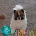 Cathy Debold - Facebook