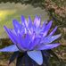 Kathy DeChant - Facebook