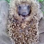 Kathy De Clercq - @clercqk - Instagram