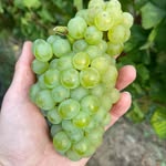 Kathy Declercq - @kathy_declercq - Instagram