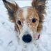 Kathy N Deets - Facebook