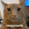 Kathy Herrera - @_kathyherrera_ - TikTok