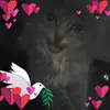 Kathy Deisering - @kathy.deisering8 - TikTok