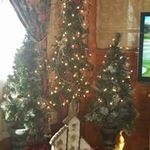 Kathy Deitchler - @kathydeitchler - Instagram