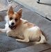 Kathy Yost Deitch - Facebook