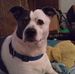 Kathy Denning - Facebook