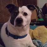 Kathy Denning - @denn.ingkathy7283 - Instagram