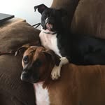 @kathydeskins - Instagram