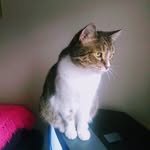 Kathy Devlin - @devlin1033 - Instagram