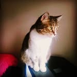 Kathy Devlin - @devkathy777 - Instagram