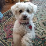 Kathy Devlin Erbe - @kathy.d.erbe - Instagram