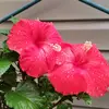 kathydevlin - @kathydevlin - TikTok