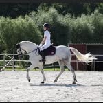 @kathy.dewael - Instagram