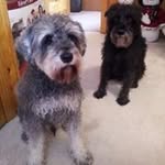 Kathy Dew - @grandma_kathy - Instagram