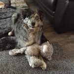 Kathy Dewhurst - @kathy_dewhurst - Instagram