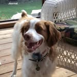 Kathy Dickenson - @kadickenson - Instagram
