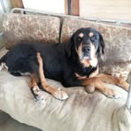 Kathy Dilley - Facebook