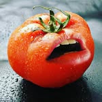 Kathy Dilley - @kat_dilley - Instagram