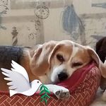 Kathy Dinger - @kathyd1031 - Instagram