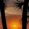 Kathy Holley-Dinges - @kathy.holleydinge - TikTok