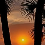 Kathy Holley-Dinges - @holleydingeskathy - Instagram