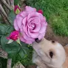 kathydingler - @kathydingler - TikTok