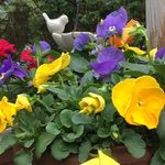 Kathy Dini - @kathy_art_craft - Instagram