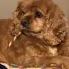 Kathy Distefano - @kathydistefano - TikTok