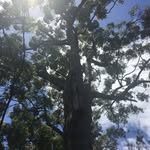 Kathy Dixon - @kathy.dixon7 - Instagram
