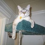 Kathy Doane - @kathy.doane.5 - Instagram
