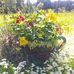 Kathy Doane - Facebook