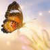 Kathy Dobson - Facebook