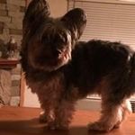 Kathy Dobson Slone - @katdobson1968 - Instagram