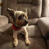 Kathy Dobson Slone - @kathy.dobson.slon - TikTok