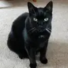 kathydoerrman - @kathydoerrman - TikTok