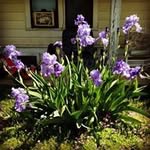 Kathyherriagesmalleydoelling - @kathy_doelling - Instagram