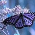 Kathy Dority - @grandma28gigi21 - Instagram