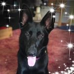 Kathy Dorr - @kathy.dorr - Instagram