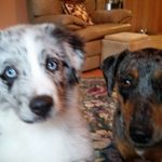 Kathy Dorr - @dorrlady - Instagram