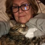 Kathy Dorr - @kathy.loves.dogs - Instagram