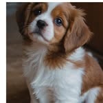 kathy Doud - @doud5841 - Instagram