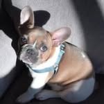 Kathy Doud - @kathy23249 - Instagram