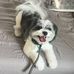 Kathy Dutt - Facebook