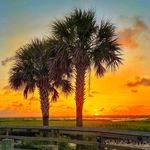 Kathy Harper Dowling - @kathydowlingphotosofsc - Instagram