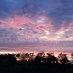 Kathy Dowd Bolitho - @bolithokathy - Instagram