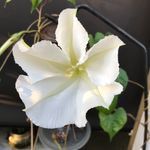 Kathy Downer - @kathy_downer - Instagram