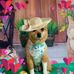 Kathy Dragon - Facebook
