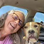 Katherine Drapeau - @thesidspot - Instagram