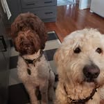 Kathy Drumheller - @drumhellerkathy - Instagram