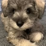 Kathy Dryden - @kathy.dryden.501 - Instagram